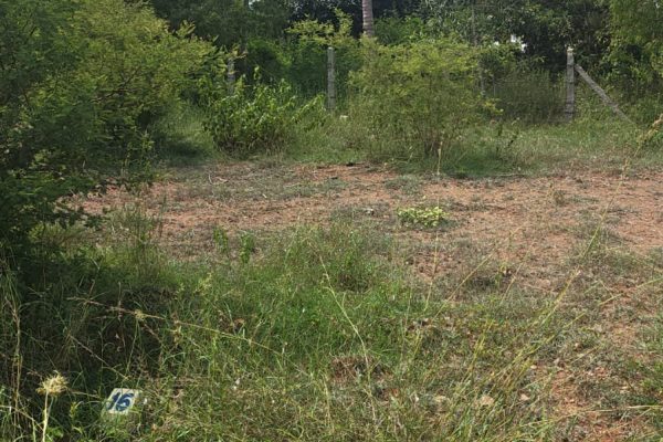 1 blurred preview photo — full photos on the property page
