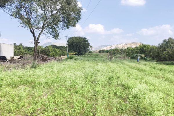 1 blurred preview photo — full photos on the property page